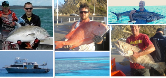 12hr, 24hr, 3-10 day liveaboard trips ex Townsville